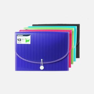 065479201136 File - Letter 13 Pocket 13x9.5 - Fashion Color