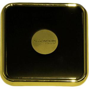88880081379 Coaster Square - Gold/Leather