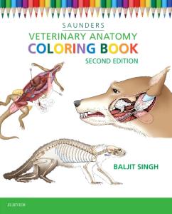 9781455776849 Veterinary Anatomy Colouring Book